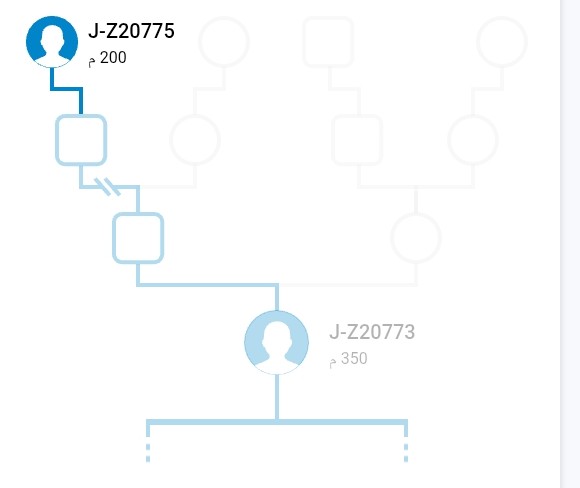 رسم بياني لتشكل السلالة الأبوية j-z20773 عام 200م.
